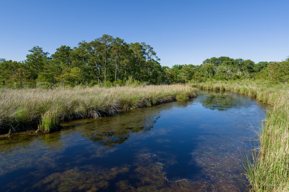 Currituck Banks