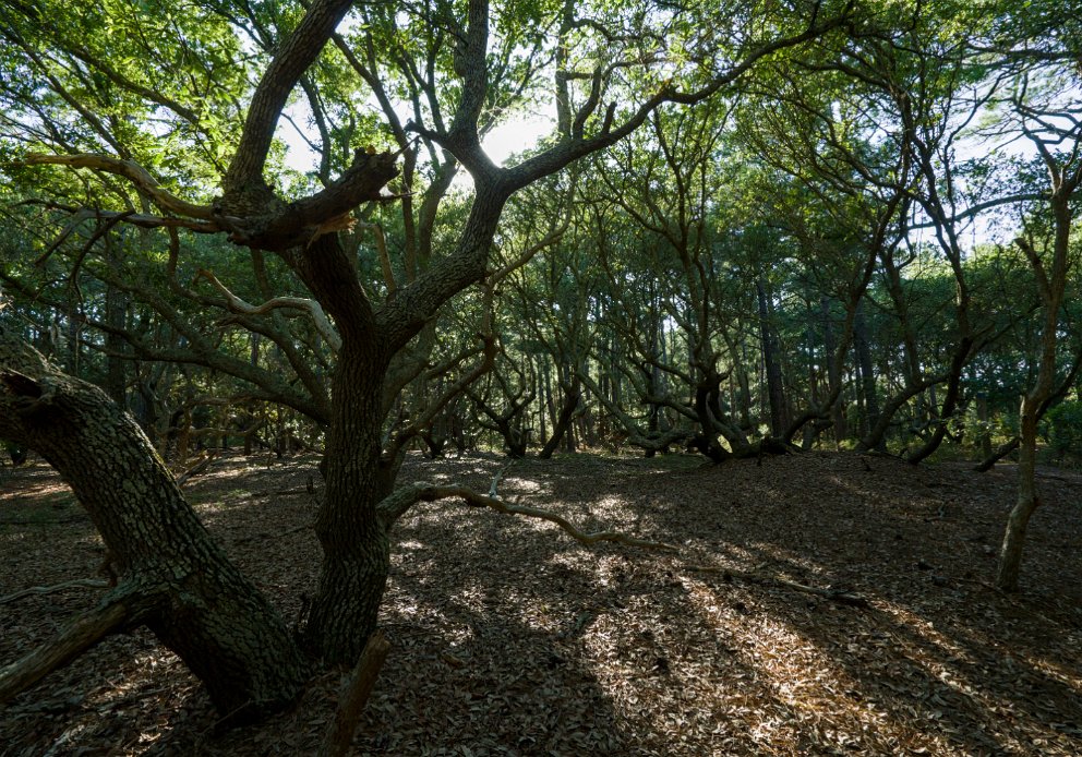 Currituck Banks