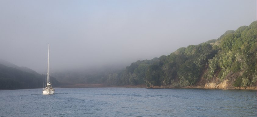 Tomales Bay in all its glory