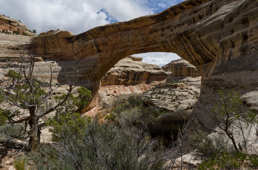 O4FAj-00871_Natural_Bridges_NM