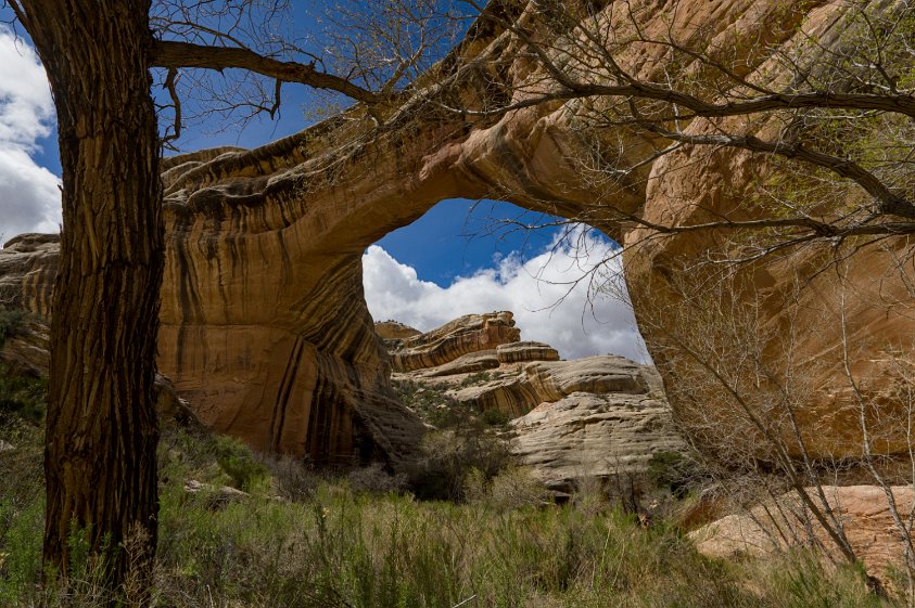 Natural Bridges Natl Mon