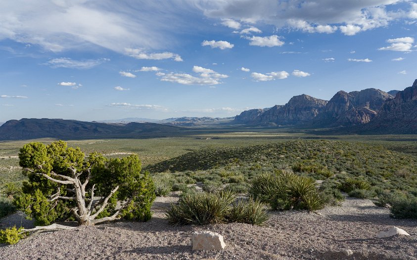 Red Rock Canyon, NV