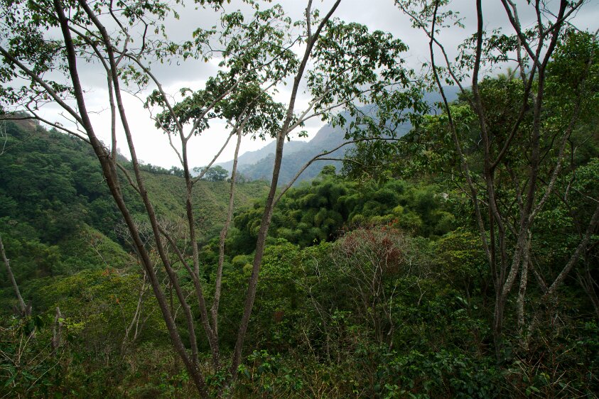 Sierra Navada de Santa Marta, Colombia