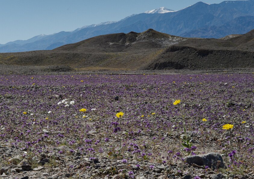 Badwater Basin