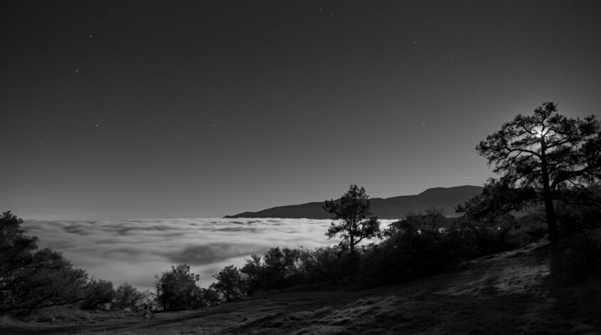 Los Padres National Forest