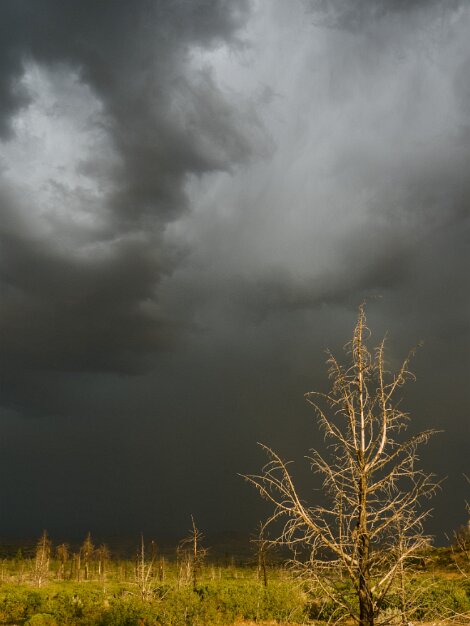 Summer storm in Shasta