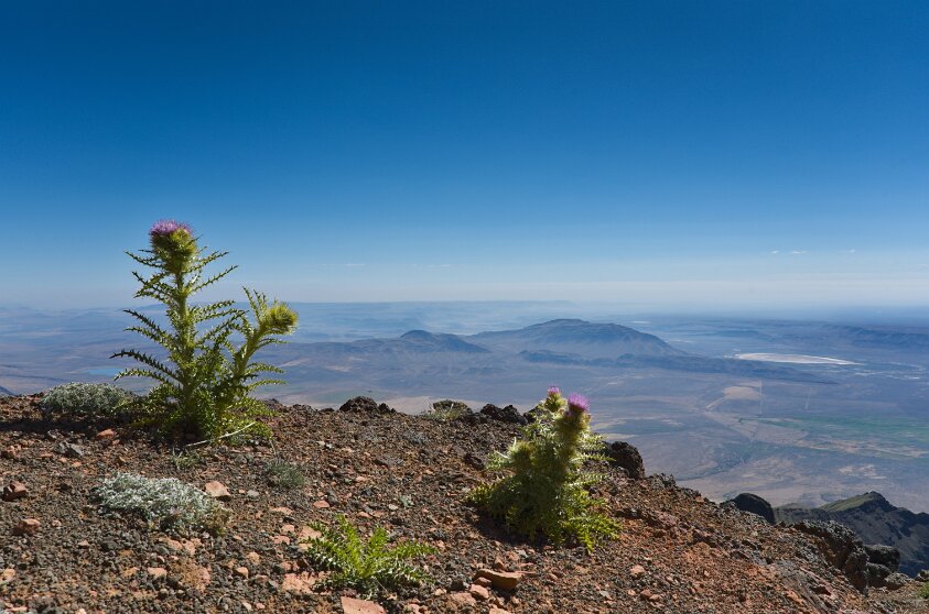 Steens Mountain Summit
