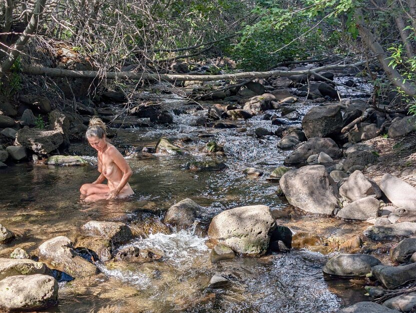 Little Blitzen River