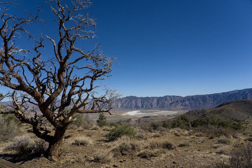 Cedar Flat (CARMA site)