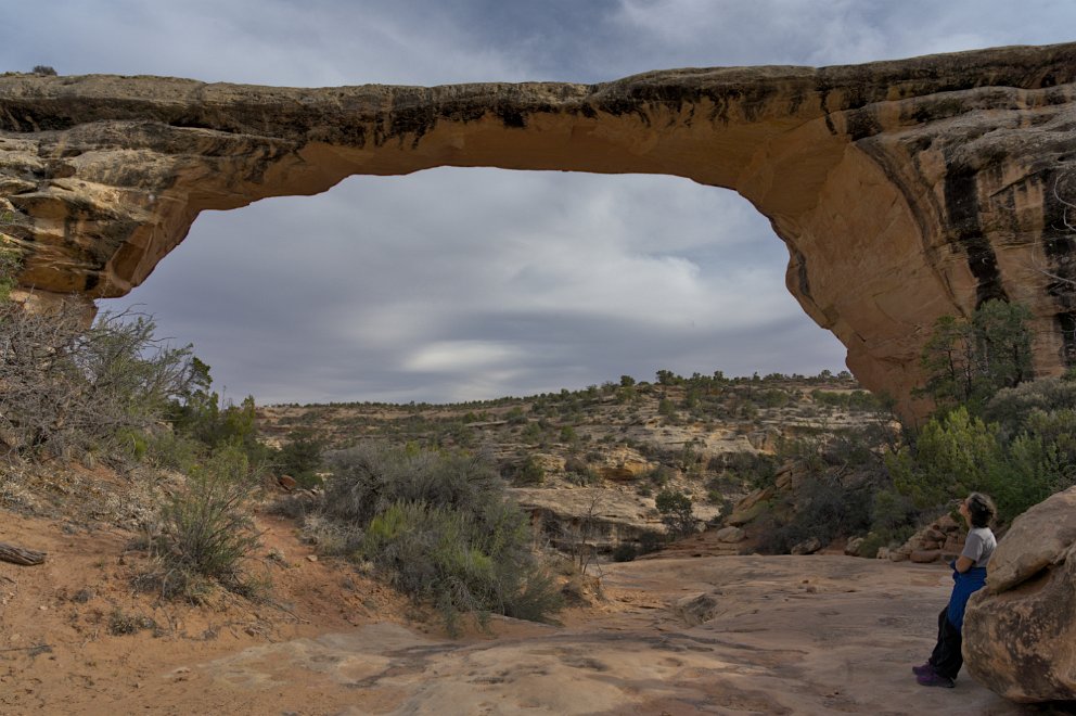 Natural Bridges National Monument