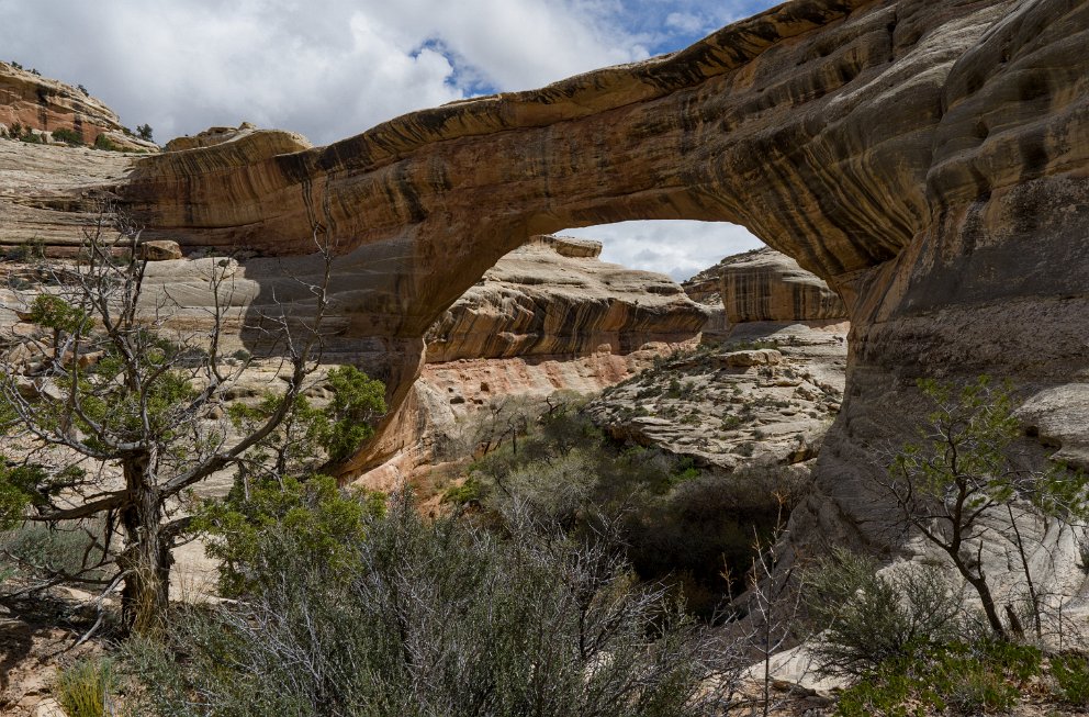 Natural Bridges NM