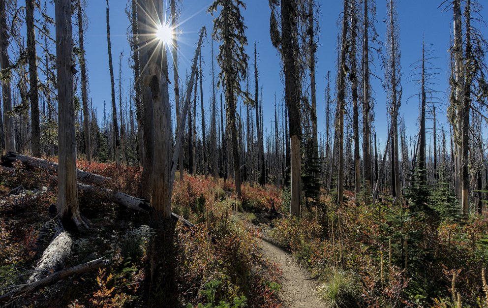 Pacific Crest Trail