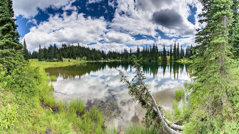 Sheep Lake