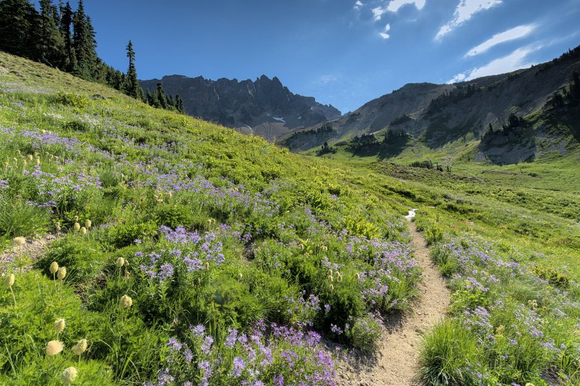 Cispus Basin