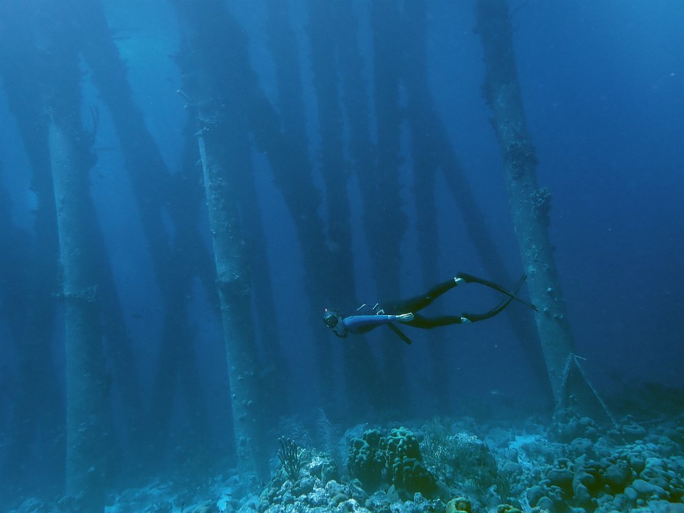 Freediving at the salt pier