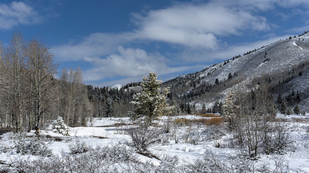 Bridger-Teton National Forest