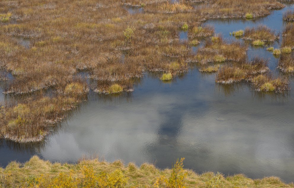 Christian Pond