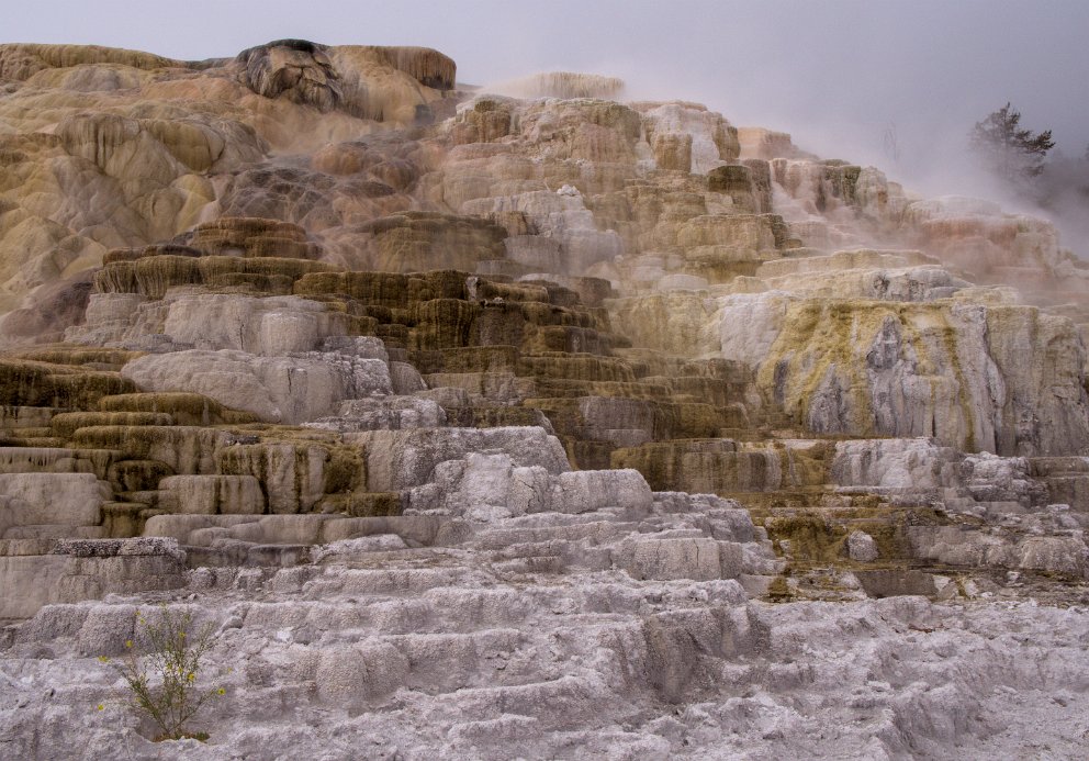 Terraces at Mammoth Hot Springs