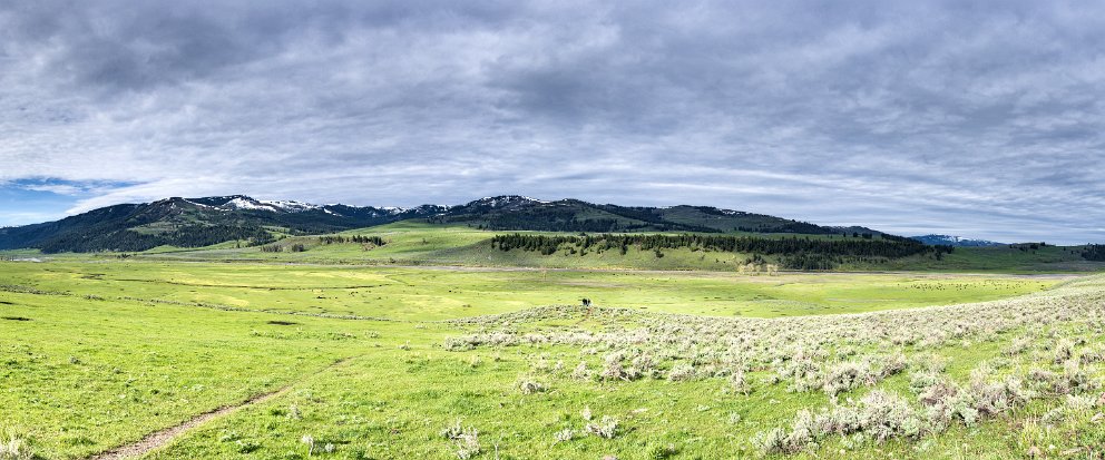 Lamar Valley