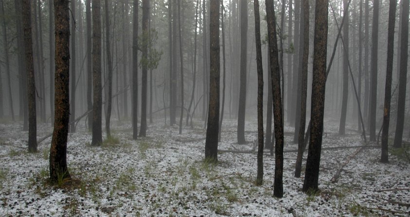 After the hail storm