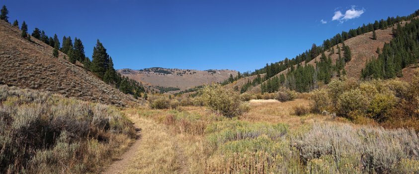 Trail near Jackson