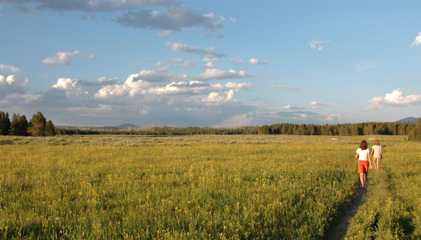Trail to the marmot colony
