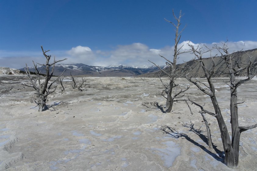 Mammoth Hot Springs, Yellowstone