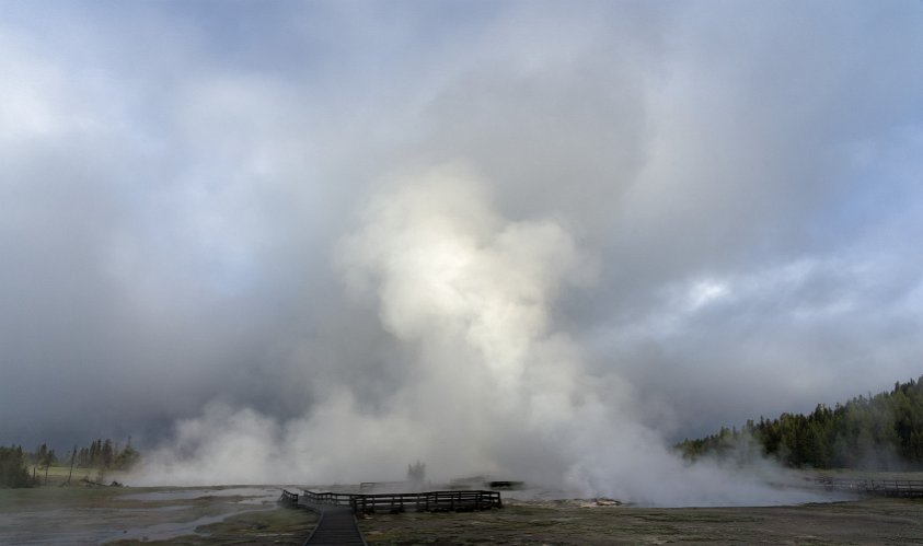 Steady Geyser